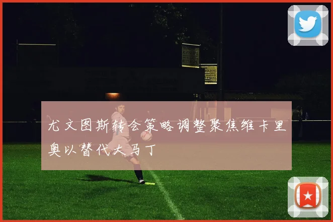 尤文图斯转会策略调整聚焦维卡里奥以替代大马丁